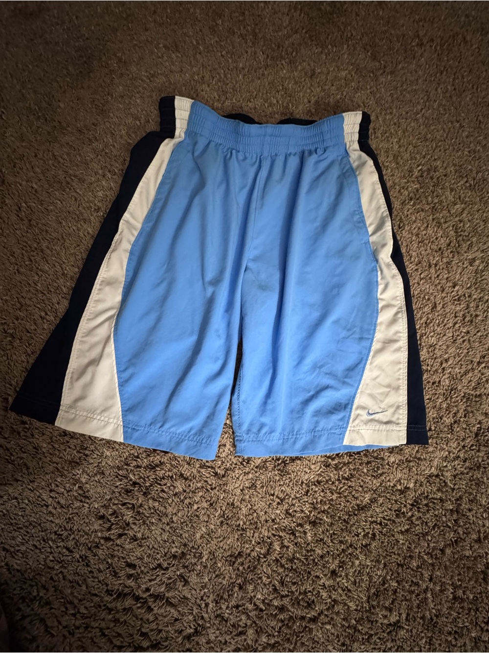Nike Men’s Vintage Early 2000’s Light Blue Athletic Shorts Large